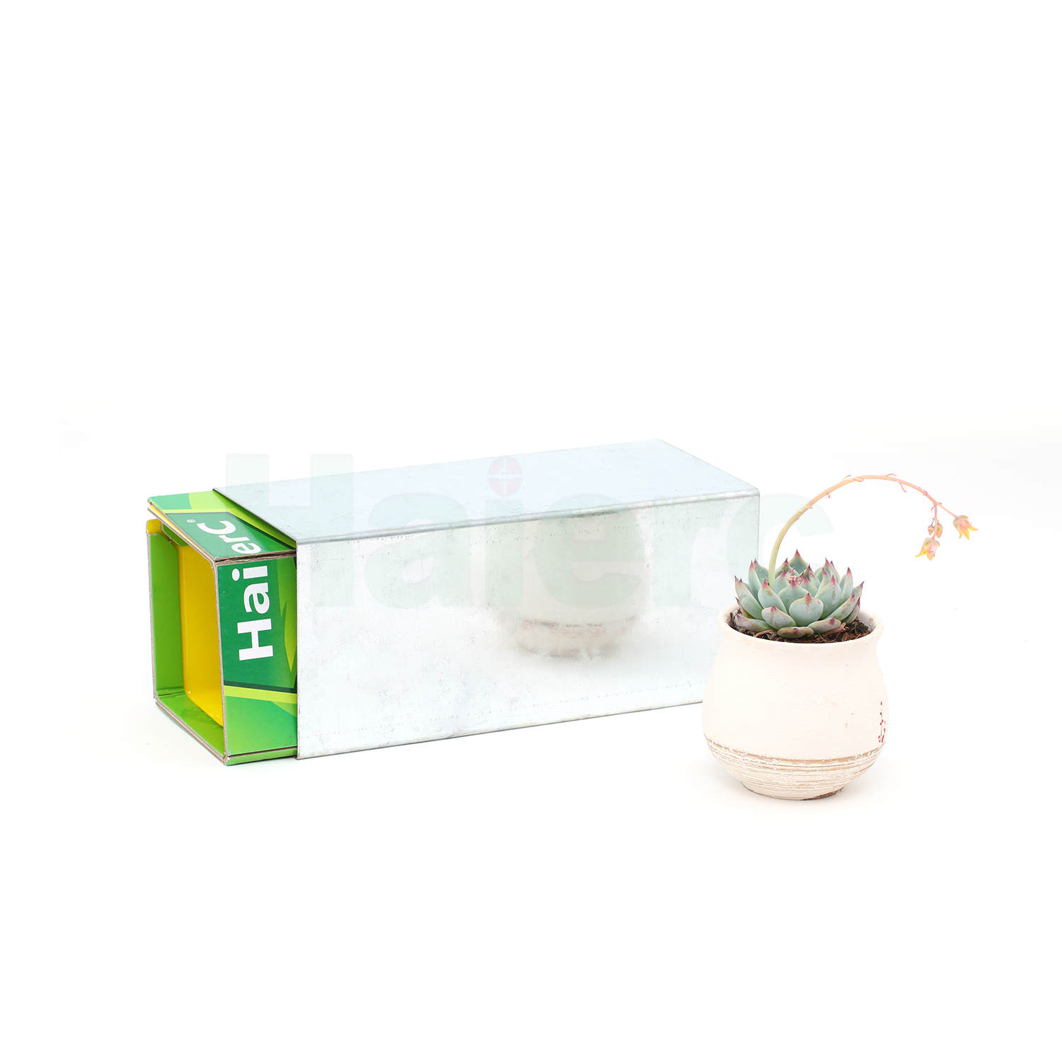 Haierc pest control products inner buckle mouse glue trap protective shell HC23001-DS