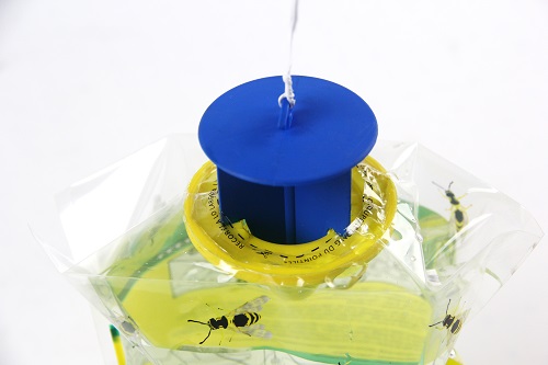 Fresh New Outdoor Disposable Plastic Hanging Insect Control Wasp Trap Bag  Yellow Jacket Trap HC4215N3