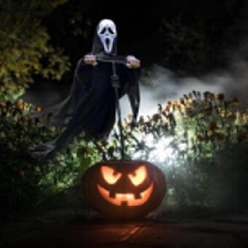 Отпугиватель птиц в виде пугала для сада на открытом воздухе, контроль вредителей, реалистичное пугало для фермы, сада, двора HC1642